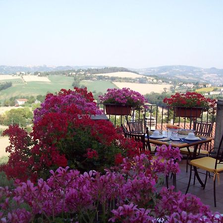 La Terrazza Fio...Rita Bed & Breakfast Ripa Exterior photo